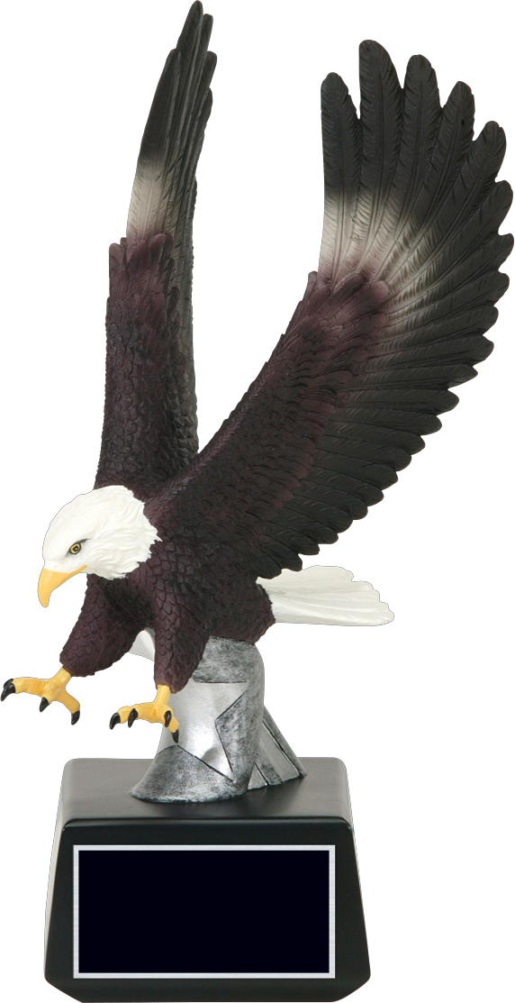 Resin Award (Color Strike Award- Eagle)