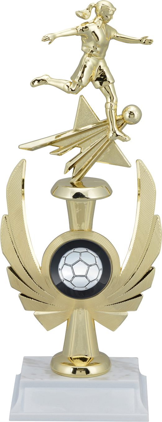 Assembled Trophy (Phoenix Assembled Trophy Softball)